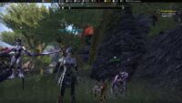 Uploaded on 06/20/2020