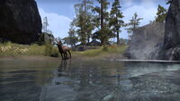 Uploaded on 06/21/2022
