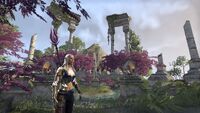 Gwyn Dee Firefly