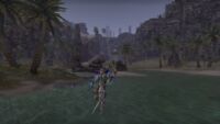 Uploaded on 04/22/2024