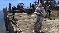 Undaunted Vulvur