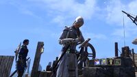 Undaunted Vulvur