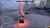 Uploaded on 11/02/2024