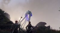 Undaunted Elyraynei
