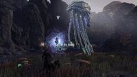 Undaunted Elyraynei