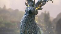 Undaunted Elyraynei